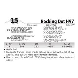 Rocking Dot H97