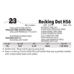 Rocking Dot H56