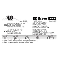 RD Bravo H222