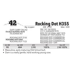 Rocking Dot H355