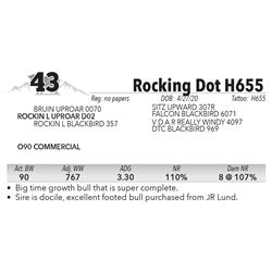 Rocking Dot H655