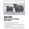 Image 1 : 121-160 - 40 Fancy purebred Angus heifer calves