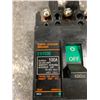 Image 2 : FUJI EG103B_100A EARTH LEAKAGE BREAKER