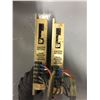 Image 2 : (2) Haas 4015J-A Brushless Servo Drives