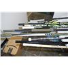 Image 4 : 10 Hockey Sticks