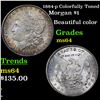 Image 1 : 1884-p Colorfully Toned Morgan Dollar $1 Grades Choice Unc