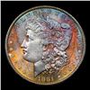 Image 2 : ***Auction Highlight*** 1881-s Rainbow Toned Morgan Dollar $1 Graded GEM++ Unc By USCG (fc)