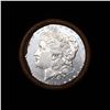 Image 2 : ***Auction Highlight*** 1879 & CC Uncirculated Morgan Dollar Shotgun Roll (fc)