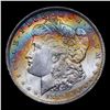 Image 2 : ***Auction Highlight*** 1885-o Monster Rainbow Toned Vam 24 I2 R4 Morgan Dollar $1 Graded Choice Unc