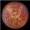 Image 3 : ***Auction Highlight*** 1889/1-cc Vam 2 R5 Morgan Dollar $1 Graded Select Unc by USCG (fc)