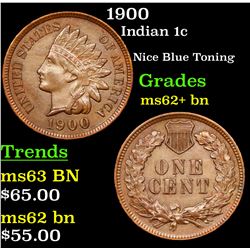 1900 Indian Cent 1c Grades Select Unc BN