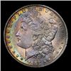 Image 2 : ***Auction Highlight*** 1889-s Rainbow Toned Morgan Dollar 1 Graded Choice+ Unc By USCG (fc)