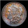 Image 2 : ***Auction Highlight*** 1901-o Rainbow Toned Morgan Dollar 1 Graded GEM++ Unc By USCG (fc)