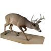Image 1 : Full size Standing Buck Deer   8 pt rac