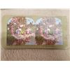 Image 2 : Lot of Stereoscope Cards