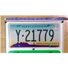 Image 2 : 2 American License Plates