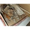 Image 2 : BOX OF DRIFTWOOD