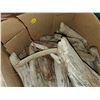 Image 3 : BOX OF DRIFTWOOD