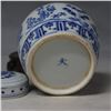 Image 8 : A BLUE & WHITE TIGER GINGER JAR MING DYNASTY.