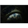 Image 9 : A BLUE & WHITE BUTTERFLY PLATE CHENGHUA MARK 14TH/C.