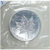 Image 2 : 10 x 1 Oz. Canada .9999 Silver Maple Leaf Coins