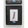 Image 1 : Richard Shorty Framed Print - Feather