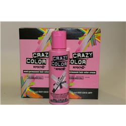 2PK OF RENBOW CRAZY COLOR SEMI PERMANENT HAIR