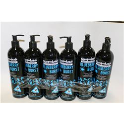 6 PACK SHAMPOOHEADS PROFESSIONAL BLUEBERRY BLAST