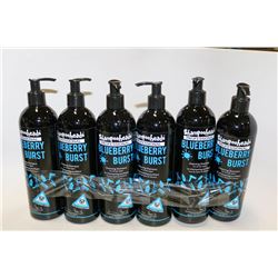6 PACK SHAMPOOHEADS PROFESSIONAL BLUEBERRY BLAST