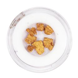 Lot of Gold Nuggets 1.10 Grams Total Weight