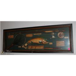 42 X 14 WOODEN FISHING SHADOWBOX WALL DISPLAY