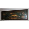 Image 1 : 42 X 14 WOODEN FISHING SHADOWBOX WALL DISPLAY