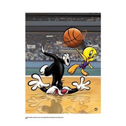 Warner Brothers Hologram Sylvester and Tweety Basketball