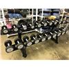 Image 1 : COMPLETE SET OF DUMBBELL WEIGHT PAIRS FROM 2.5-25LBS WITH A BLACK 2 TIER RACK