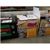 Image 3 : 4 EVERSTART BATTERIES
