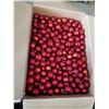 Image 2 : BOX OF 100 PLUS CHRISTMAS BALL ORNAMENTS