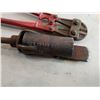 Image 3 : TIGER TORCH AND BOLT CUTTERS