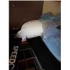 Image 3 : PILLOWS, MOVING BLANKET AND BLANKET AND CABBAGE PATCH DOLLS