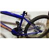 Image 2 : BLUE ROADMASTER BIKE
