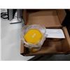 Image 3 : PAIR OF DAY1 NEO 5LB DUMBELLS NEW IN BOX