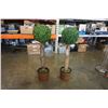 Image 2 : 2 artificial 38" trees