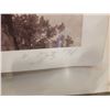 Image 5 : THE VENERATION OF NATURE BY VALERIE METZ, 2/6 INKJET ON ARCHES GALLERY PRICE $1600