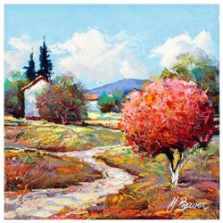 Mark Braver, "Bright Skies" Original Oil Painting on Canvas, Hand Signed with Letter of Authenticity