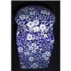 Image 1 : English Staffordshire Blue and White Jar #1325288
