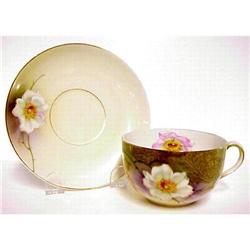 Bavarian Antique Cup & Saucer #1340435