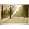 ALTMAN Luxembourg GARDENS Paris Artists PROOF #1369438