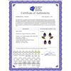 Image 2 : Genuine 13 ctw Amethyst Earrings 14KT Yellow Gold - REF-58P7H