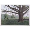 Image 1 : Helen Rundell S/N Lithograph, Landscape #1370207