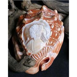 Italian Handcarved Shell Portrait Cameo Conch #1365386