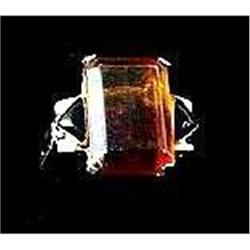 Antique Amber Ring With Onyx #1365615